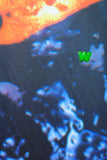 Walter Van Beirendonck <br> Frog Tee